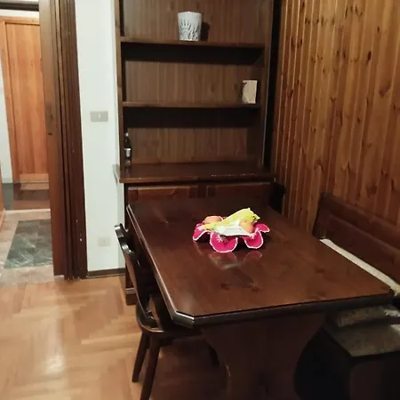 Aleksander * 브루일서비니아